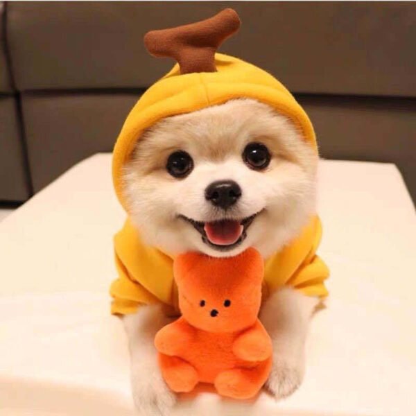 Pet Cat Dog Cute Fruit Hoodies Costume Winter Warm Fleece - Image 8