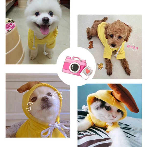 Pet Cat Dog Cute Fruit Hoodies Costume Winter Warm Fleece - Image 10